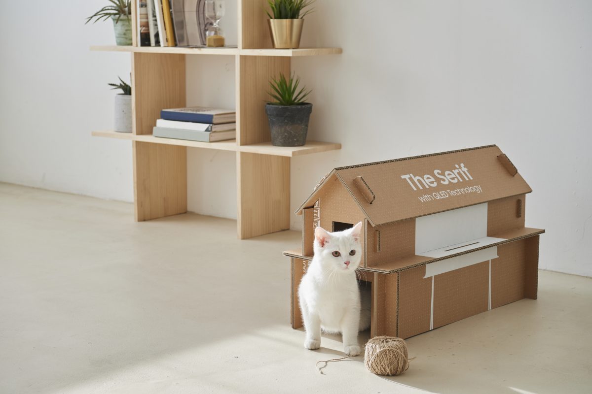 Dezeen and Samsung are holding a cardboard design competition.